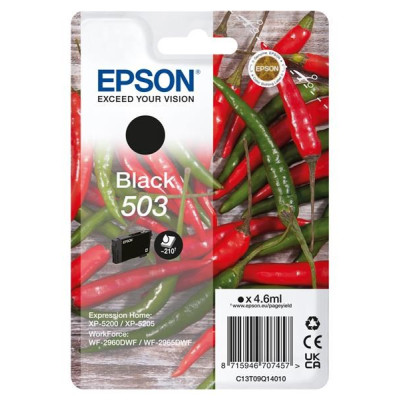 Originální inkoust Epson T09Q1 (C13T09Q14010, 503), černý, 210 stran (4,6 ml)