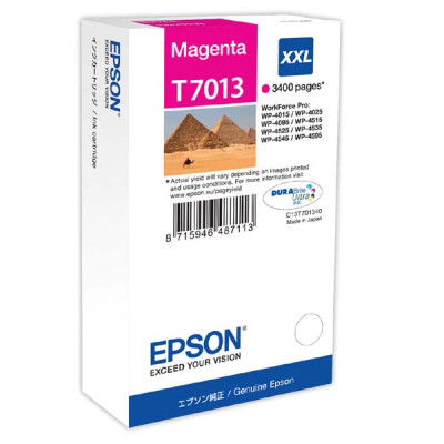 Originální inkoust Epson T7013 (C13T70134010), purpurový, 3400 stran